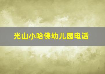 光山小哈佛幼儿园电话