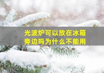 光波炉可以放在冰箱旁边吗为什么不能用