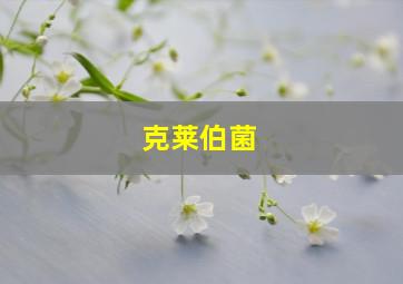 克莱伯菌