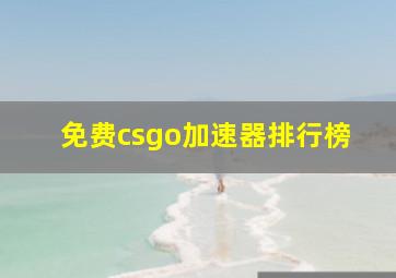 免费csgo加速器排行榜