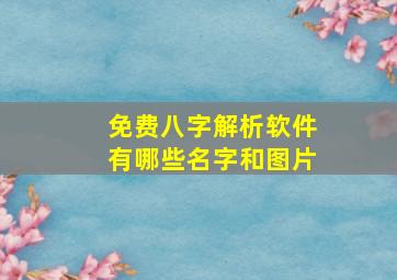 免费八字解析软件有哪些名字和图片