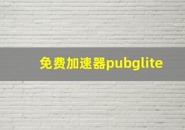 免费加速器pubglite