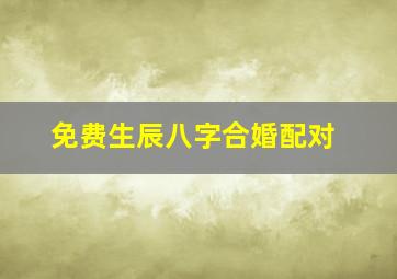 免费生辰八字合婚配对