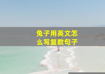 兔子用英文怎么写复数句子