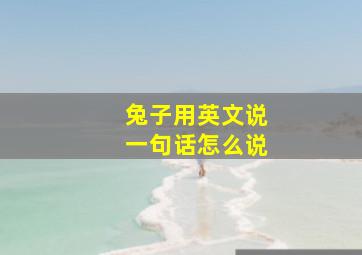 兔子用英文说一句话怎么说