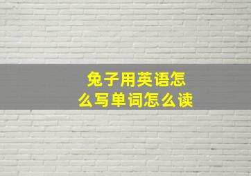 兔子用英语怎么写单词怎么读