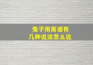 兔子用英语有几种说法怎么说