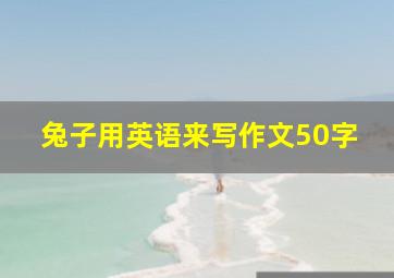 兔子用英语来写作文50字