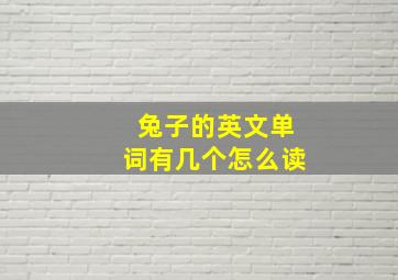 兔子的英文单词有几个怎么读