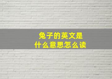 兔子的英文是什么意思怎么读