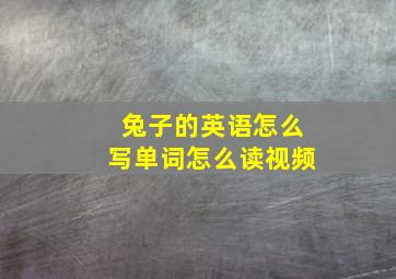 兔子的英语怎么写单词怎么读视频