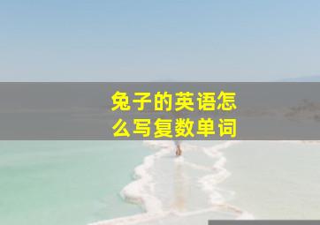 兔子的英语怎么写复数单词