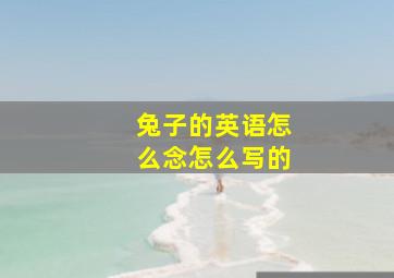 兔子的英语怎么念怎么写的