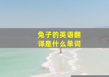 兔子的英语翻译是什么单词