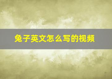 兔子英文怎么写的视频