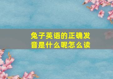 兔子英语的正确发音是什么呢怎么读