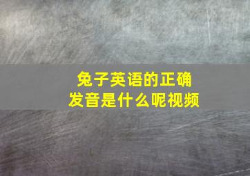 兔子英语的正确发音是什么呢视频