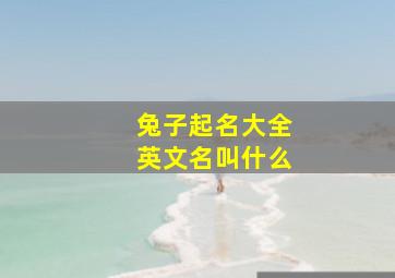 兔子起名大全英文名叫什么