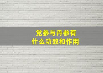 党参与丹参有什么功效和作用