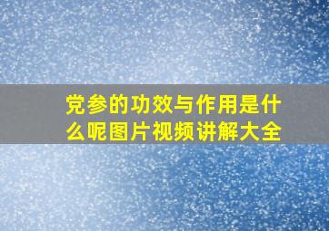 党参的功效与作用是什么呢图片视频讲解大全