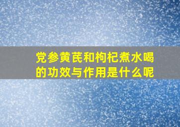 党参黄芪和枸杞煮水喝的功效与作用是什么呢