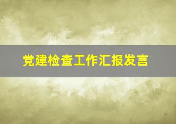 党建检查工作汇报发言