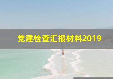 党建检查汇报材料2019