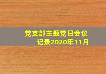 党支部主题党日会议记录2020年11月