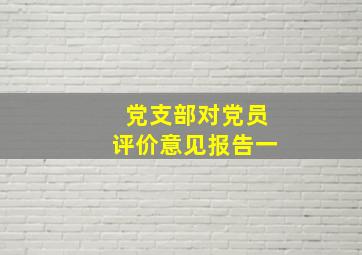 党支部对党员评价意见报告一