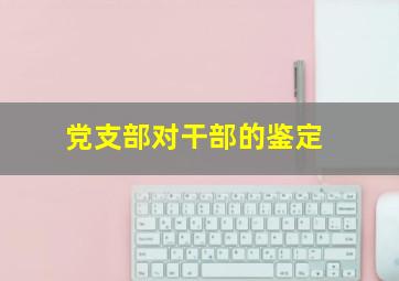 党支部对干部的鉴定