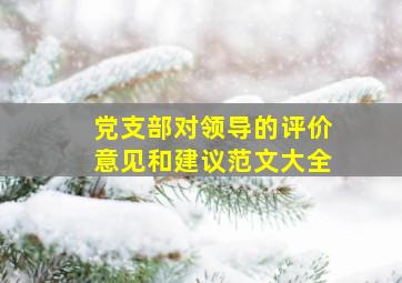 党支部对领导的评价意见和建议范文大全