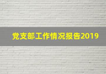 党支部工作情况报告2019