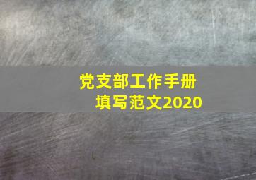 党支部工作手册填写范文2020