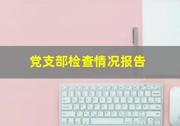 党支部检查情况报告