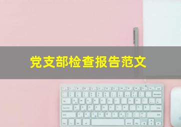 党支部检查报告范文