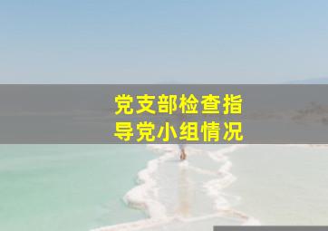 党支部检查指导党小组情况