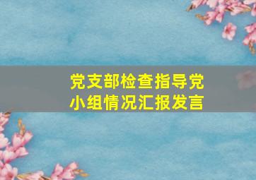 党支部检查指导党小组情况汇报发言