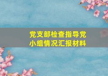 党支部检查指导党小组情况汇报材料