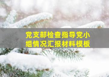 党支部检查指导党小组情况汇报材料模板