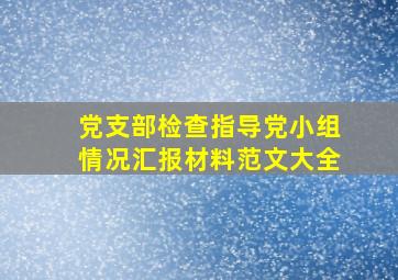 党支部检查指导党小组情况汇报材料范文大全