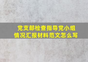 党支部检查指导党小组情况汇报材料范文怎么写