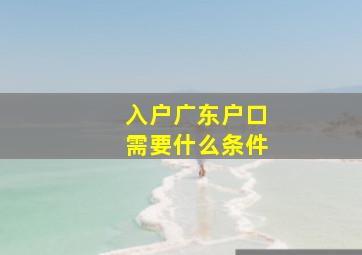 入户广东户口需要什么条件