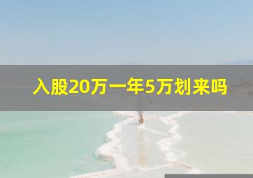 入股20万一年5万划来吗