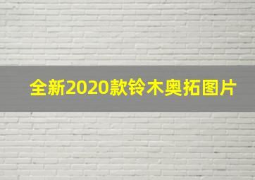 全新2020款铃木奥拓图片