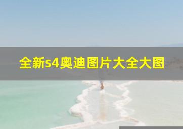 全新s4奥迪图片大全大图