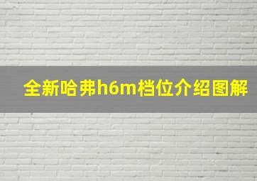 全新哈弗h6m档位介绍图解