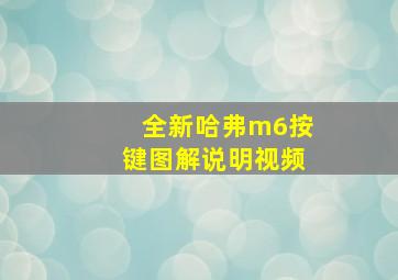 全新哈弗m6按键图解说明视频