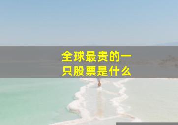 全球最贵的一只股票是什么