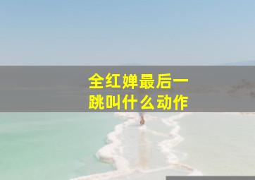 全红婵最后一跳叫什么动作