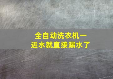 全自动洗衣机一进水就直接漏水了